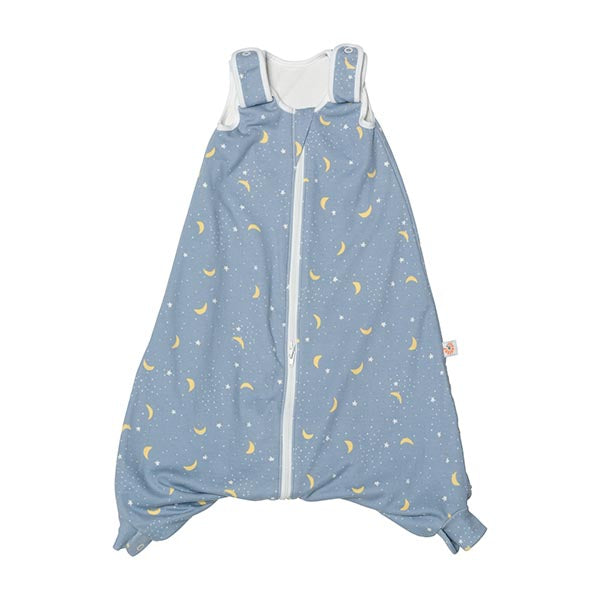 Ergobaby Saco de dormir On the Move 6-18m Tog 2,5 - Stellar