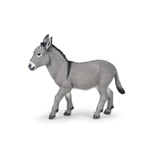 PAPO - Burro de Provença