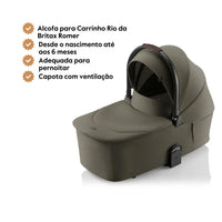 Oliva Urbana de Lujo