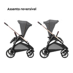 Carrinho de Bebé Inglesina System Duo Aptica - Platinum Grey