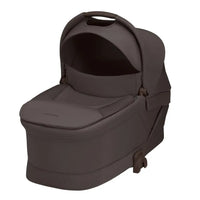 Espresso Brown