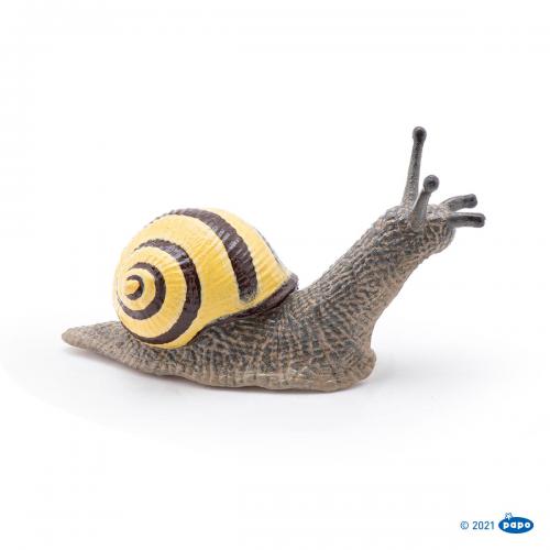 PAPO - Caracol Raiado