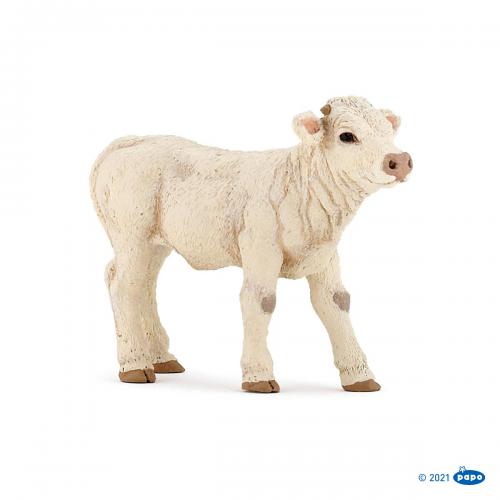 PAPO - Bezerro Charolais
