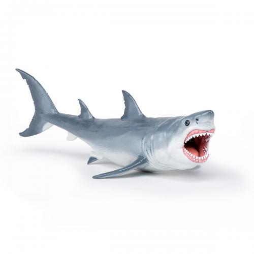 PAPO - Megalodon
