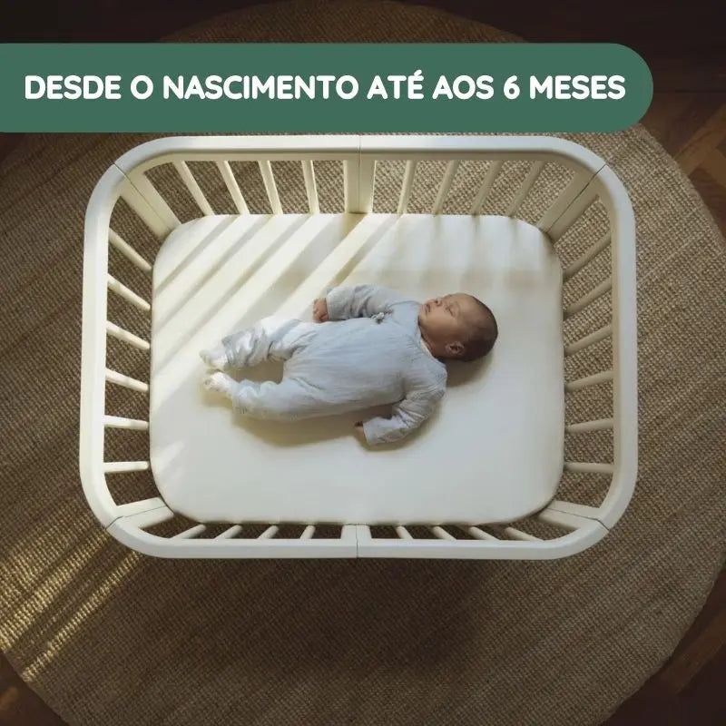 Desde o nascimento até aos 6 meses