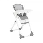 Joie Cadeira da Papa Mimzy Recline - Artic